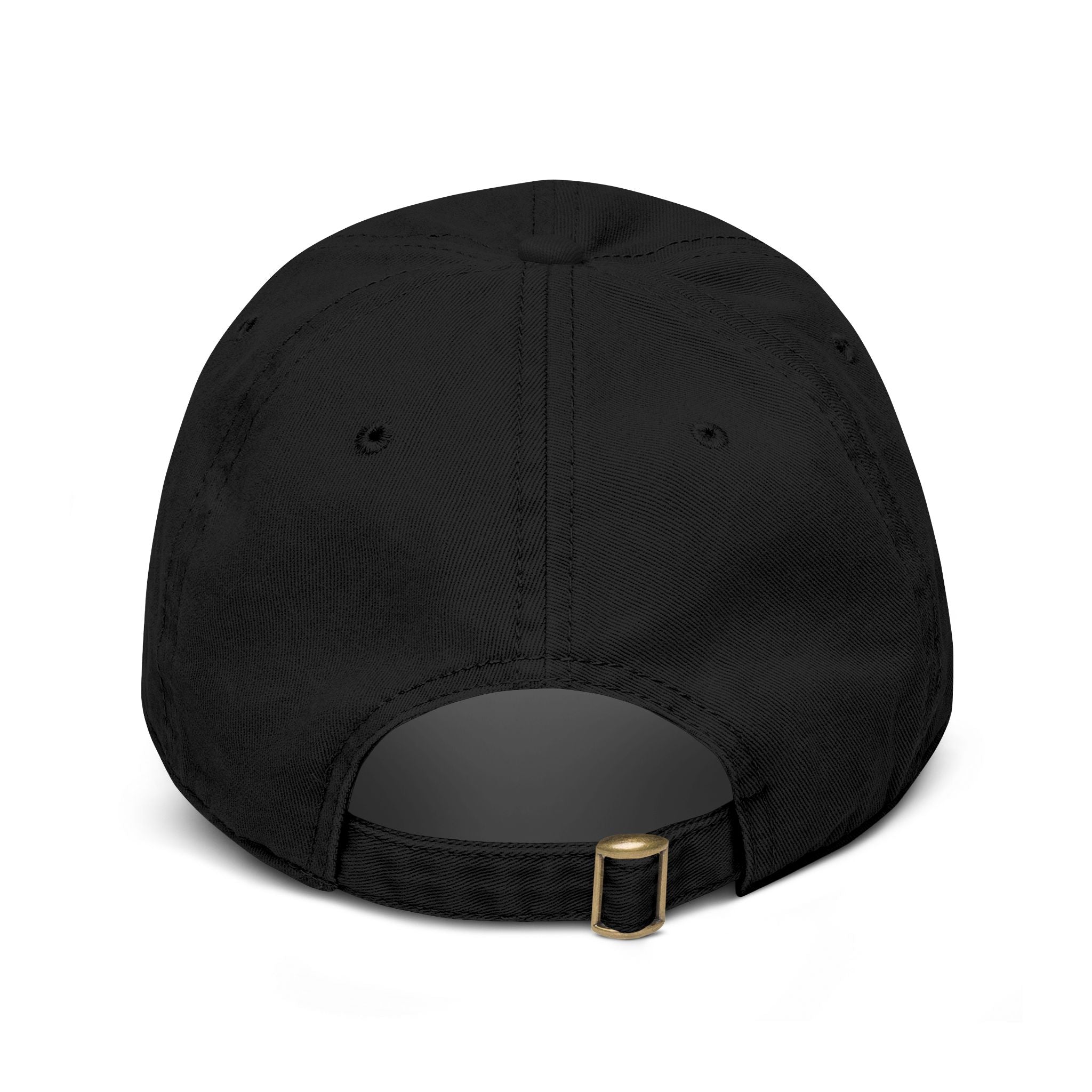 BJJ World Baseball Cap